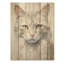 Minimalisme, portrait de chat beige - Art mural en bois sur bois de pin naturel-433335572