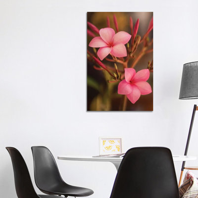 Pink Flowers 1 Piece Wrapped Canvas Wall Art
