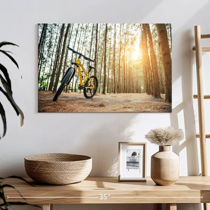 Mehar Mountain Bike, 16" H x 24" W