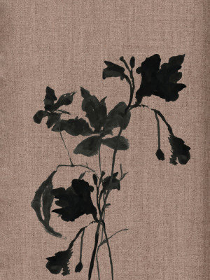 Wrapped Canvas Print, 76.2 cm H x 50.8 cm W