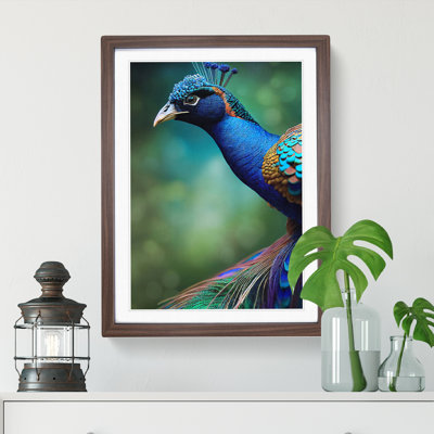 Captivating Peacock - Single Picture Frame Print