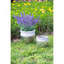 Ensemble de 2 pots à plantes en terre cuite Uma naturel vieilli / L: 8 x 8 x 7,5 po: 6 x 6 x 5,7 po