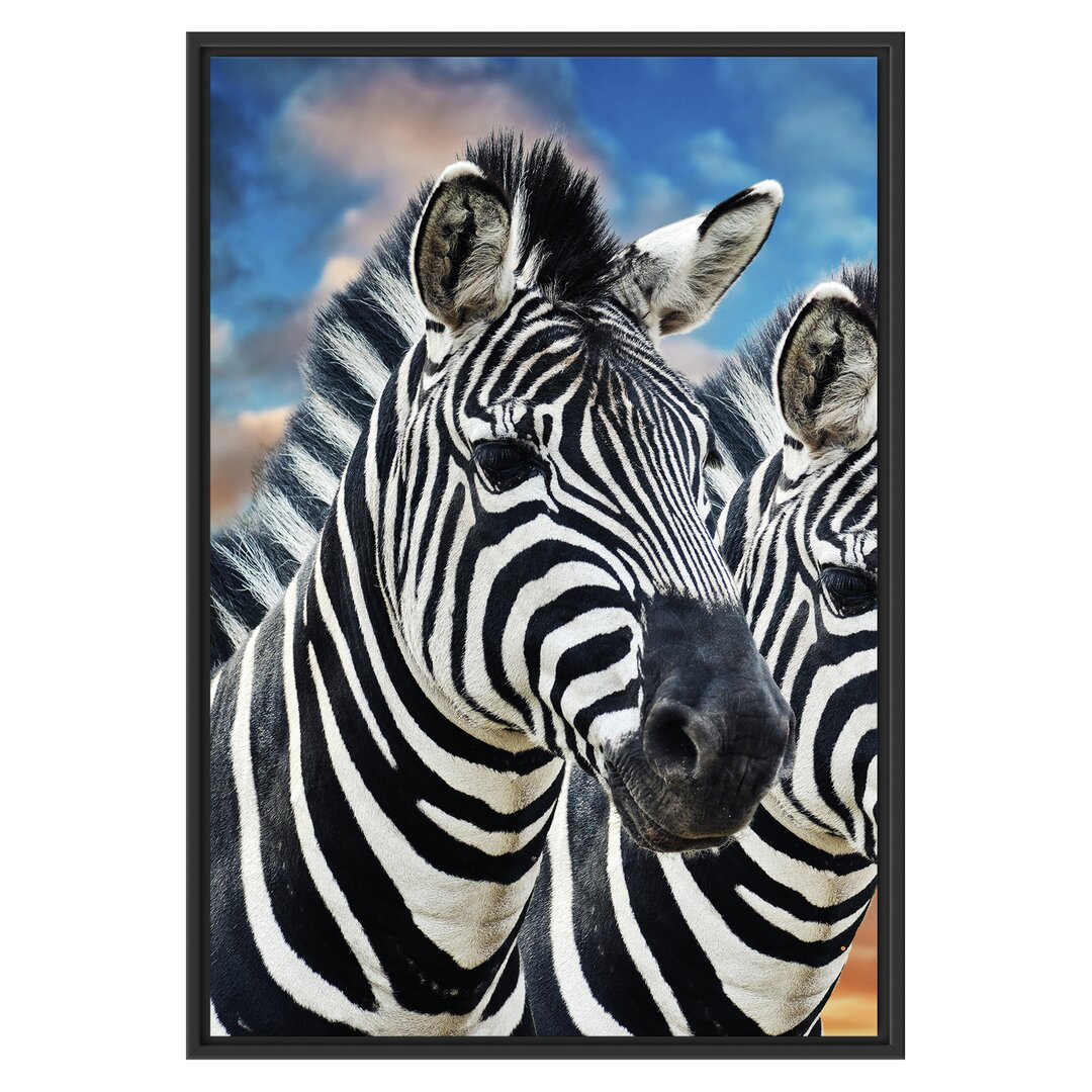 Gerahmtes Wandbild Zebra Pärchen