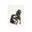 Horse V1 Print by Chris Paschke-26925165-26925166