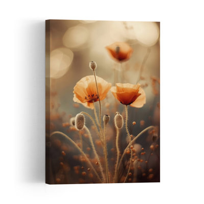 Whispers Of Poppies Delicate Elegant Ethereal Poppy Flower Nature Wall Art Print