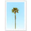 Lonely Palm Print by Carly Tabak-73335857-73335870