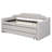 Twin Size Upholstered Daybed With Trundle And Three Drawers-1169157788
