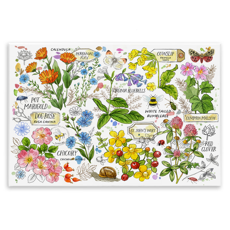 "Diverses herbes", art mural par Jane Maday, H 10 po x l 15 po