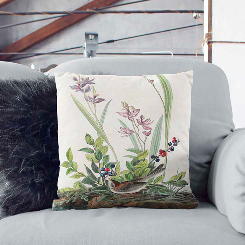 Field Sparrow by John James Audubon Cushion with Filling, 55cm H x 55cm W x 20cm D, Black