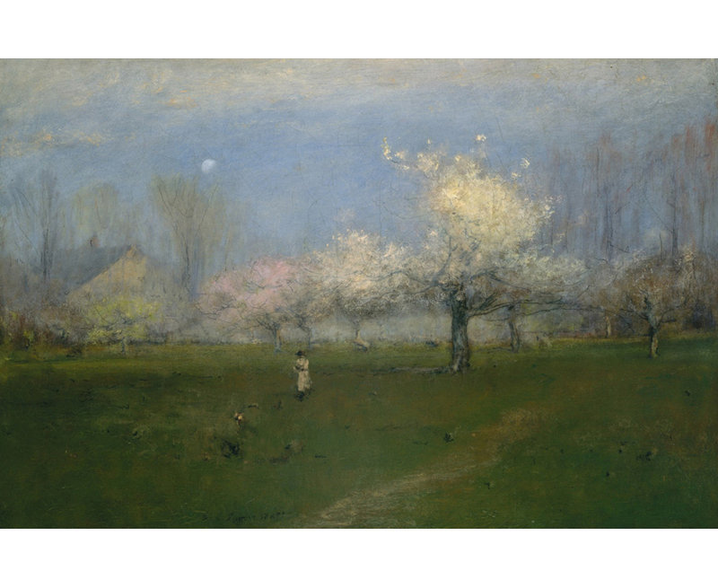 Spring Blossoms, Montclair, New Jersey