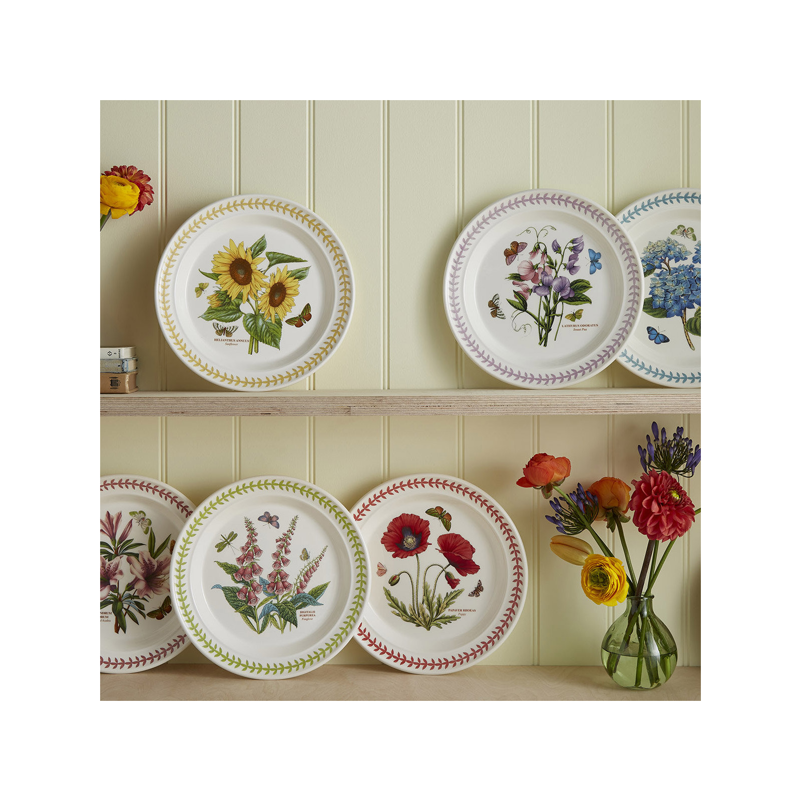 10" Dinner Plates, Set of 6