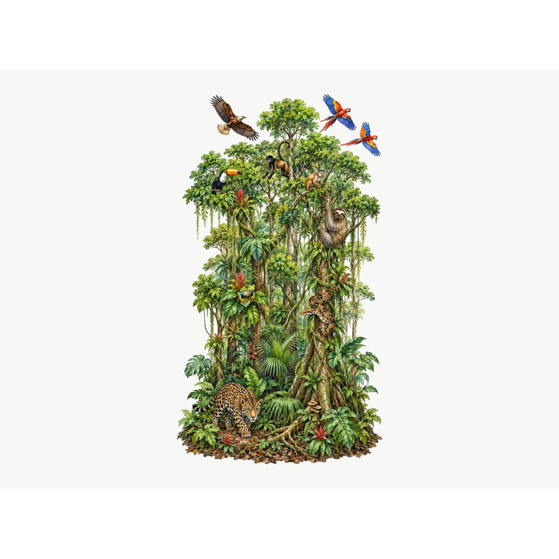 Rainforest Layer Wall Decal, Big Educational Peel and Stick Wall Sticker, Classroom Playroom Decor, Kids Learning Wall Art, 20"W x 20"H (50 x 50 cm)