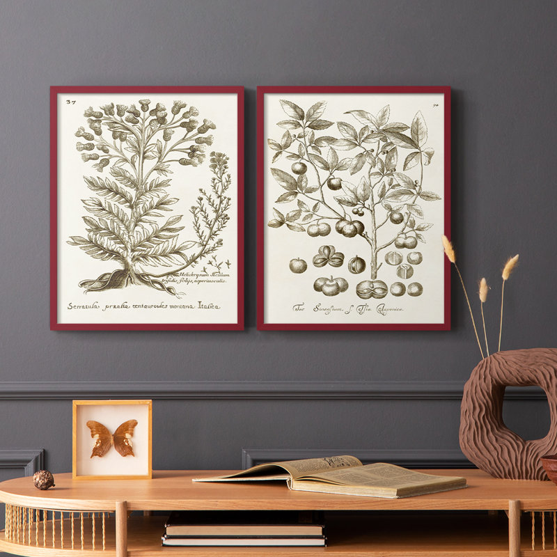 «Sepia Botanical Journal I», reproduction encadrée de qualité supérieure - prête à être accrochée - aucun clou requis - aucun clou requis