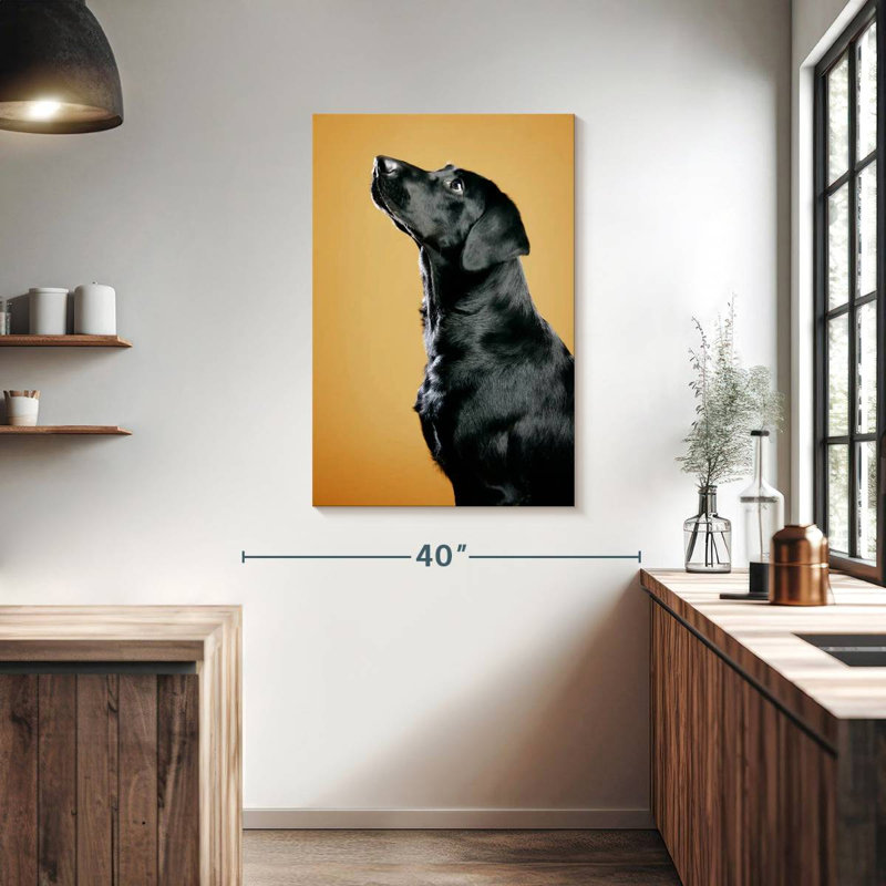 Chien noir obéissant Brampt, H 39 po x l 26 po