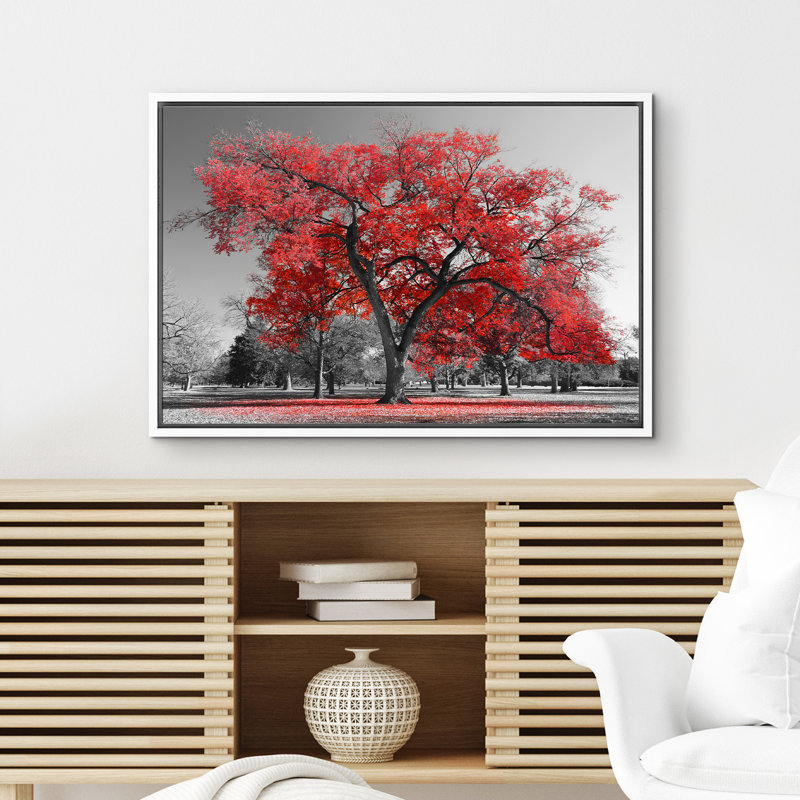 Arbre rouge sur fond de parc noir et blanc, Cadre flottant blanc, H 24 po x l 36 po