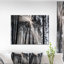 «Sunbeam Through Black White Forest», photographie-35125679-35125685