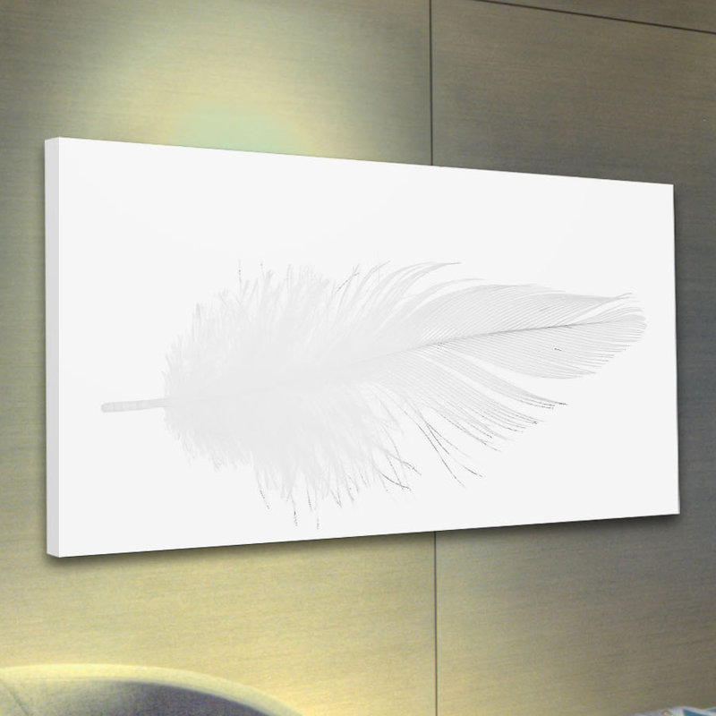 Fluffy Quill - Wrapped Canvas Print, 76cm H x 152cm W x 3.8cm D