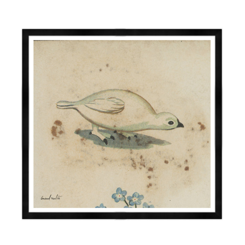 Moulton Collection " White Bird ", Black Framed