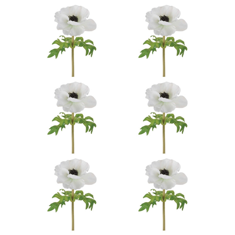 Anémone florale (ensemble de 6), Blanc, vert