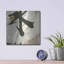 Ivy Bronx «Collage VIII» par Chris Paschke-440125941