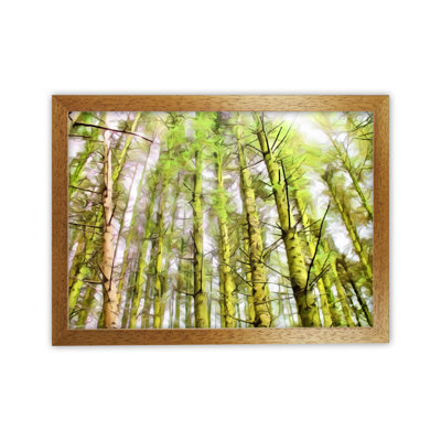 Woodland - Print on Canvas