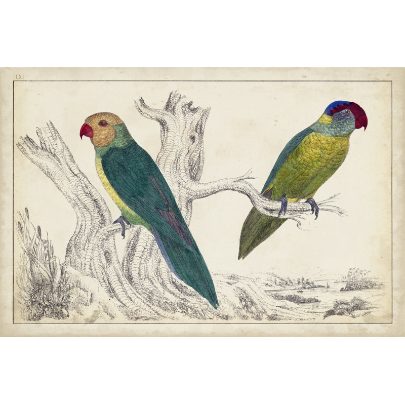 Parrot Pair II - Painting, 81 cm H x 122 cm W, Wrapped Canvas
