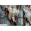 Mundo Magnfico metal print