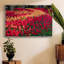 «Field of Tulips II», toile tendue avec châssis de qualité supérieure - prête à être accrochée-92476857-92476855