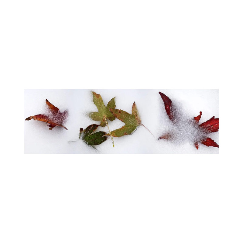 Leaves in the Snow 1 Piece Wrapped Canvas Panoramic Wall Art, 30.48 cm H x 91.44 cm W x 1.91 cm D