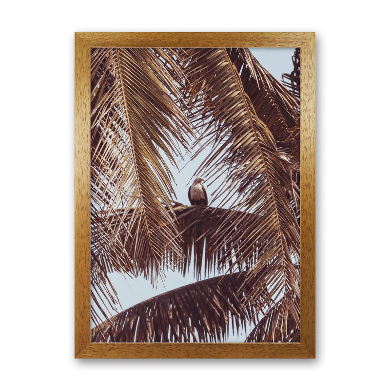Eagle by Victoria Frost - Print, 34cm H x 25cm W x 3cm D, Oak Framed