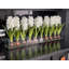 Hyancinths Floral Arrangement in Planter