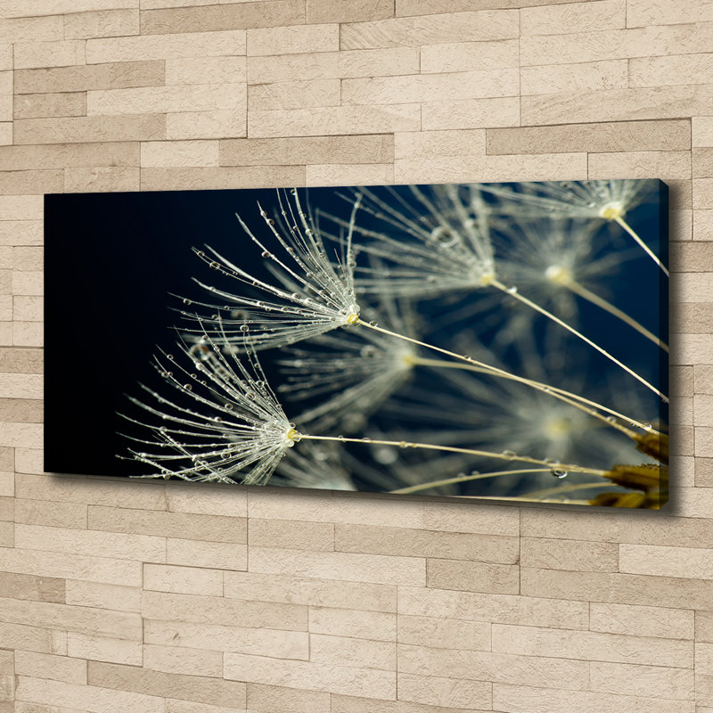Dandelion Seeds - Wrapped Canvas Print