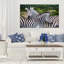 Zèbre à rayures - reproduction de photo sur toile tendue-29334299