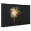 Palm Tree Fireworks - Wrapped Canvas-55366853