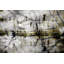 «Cattails» par Red Barrel Studio®, reproduction d'art sur toile tendue-14230531