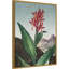 Temple of Flora I par Dr. robert j. Impression sur toile encadrée Thornton-109561830