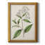 Toile encadrée de qualité supérieure Antique Botanical Collection-463191983