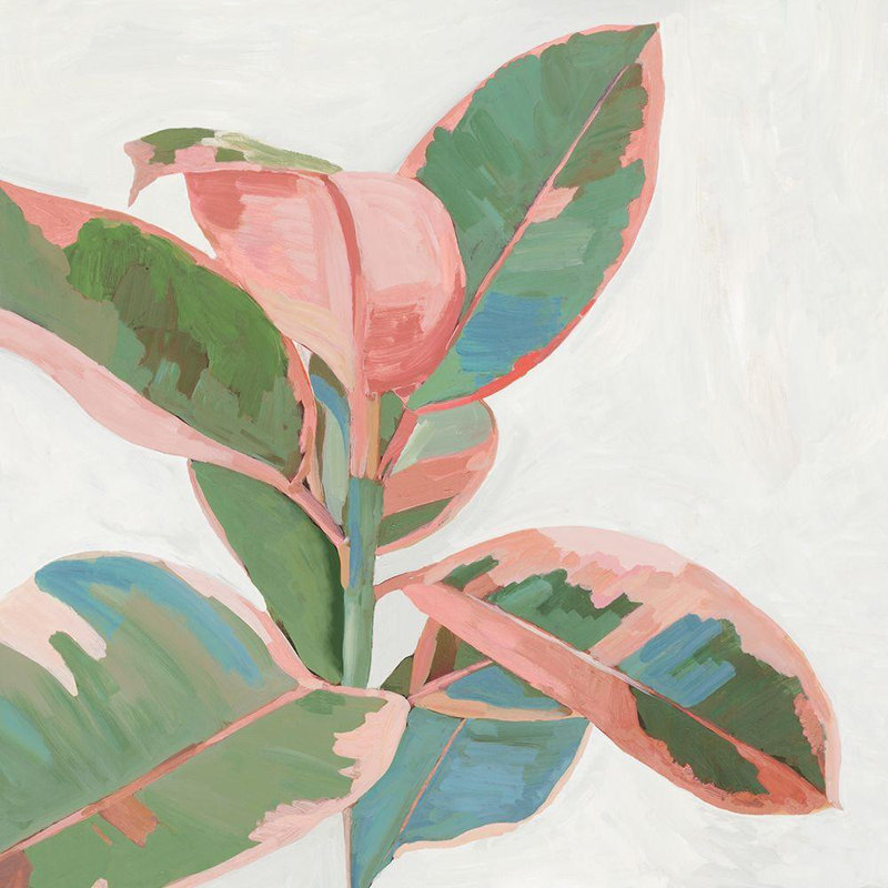 Art sur toile tendue avec Lark Manor ™ Jensen, Asia: Pink Ficus I, H 36 po x l 36 po