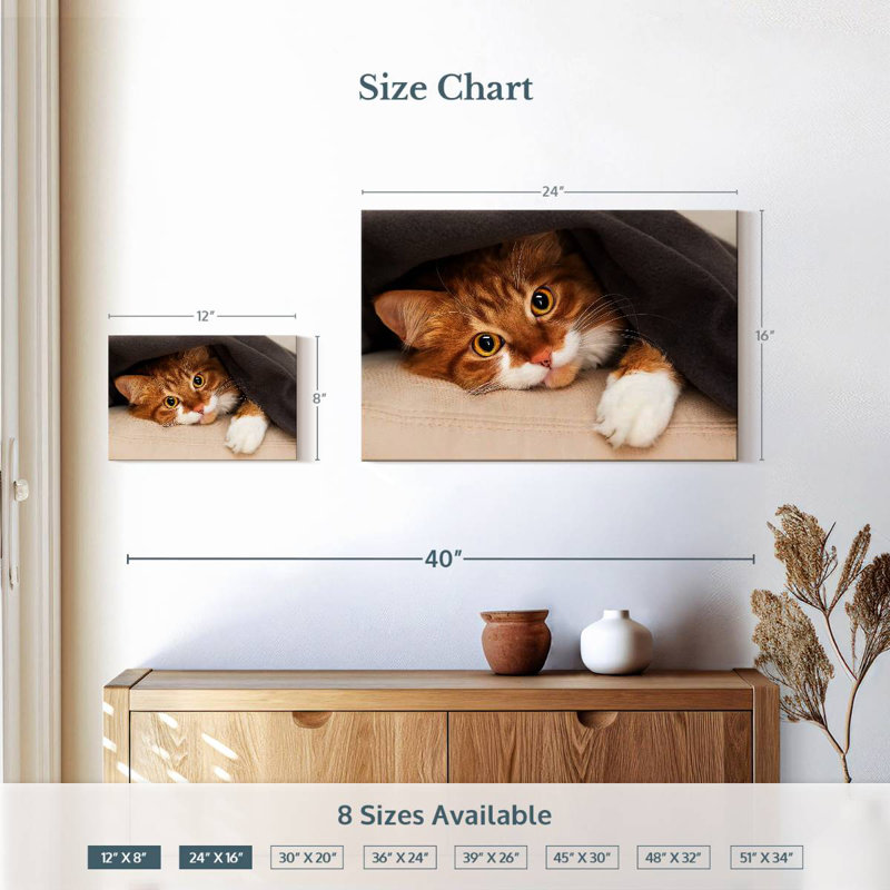 Crowle Cozy Cat, H 16 po x l 24 po