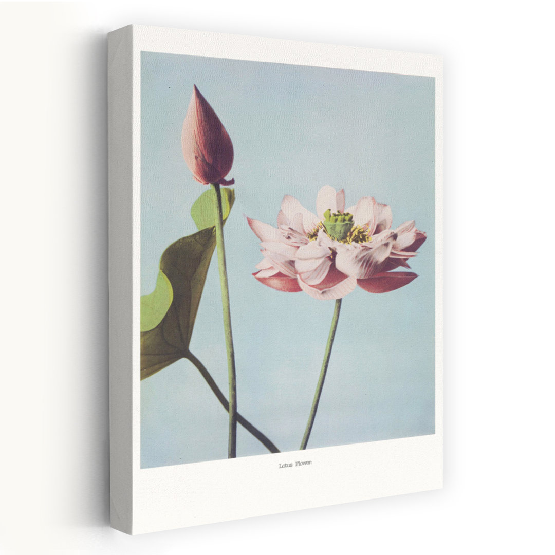 Contemporary Art Abstract Retro Vintage Lotus Flower Landscape Wall Art