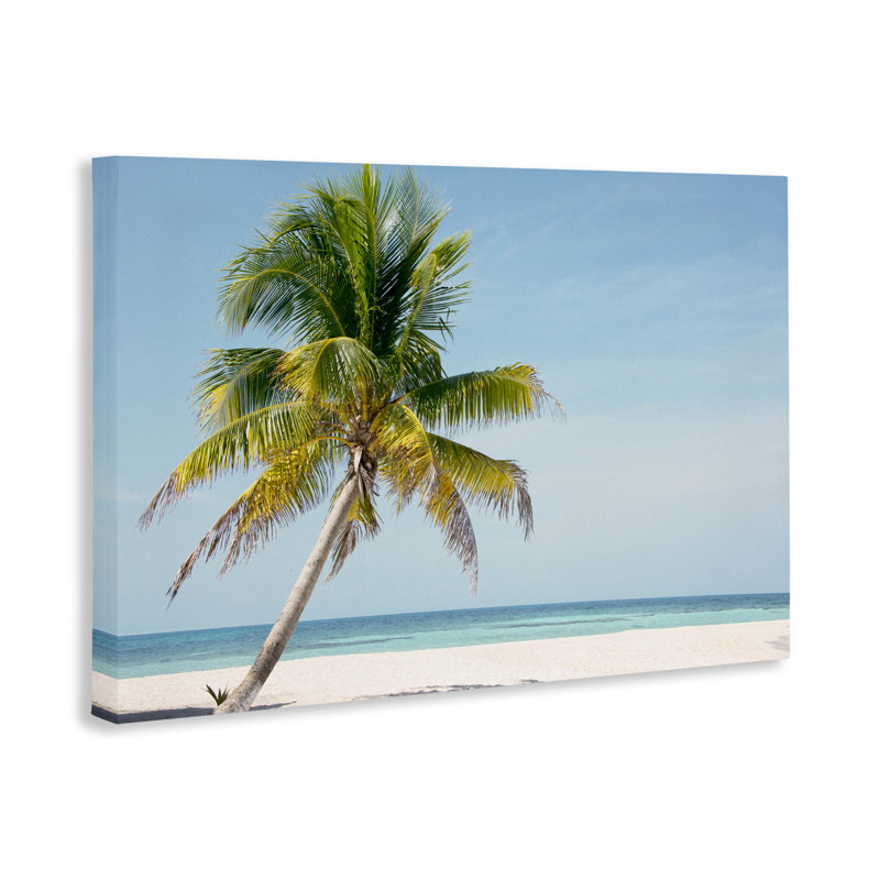 Toile de palmier Barrier Reef Island, design par Danita Delimont, H 16 po x l 24 po