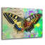 «Exposed Butterfly» par Dean Russo Studios, art mural en verre acrylique-750307565