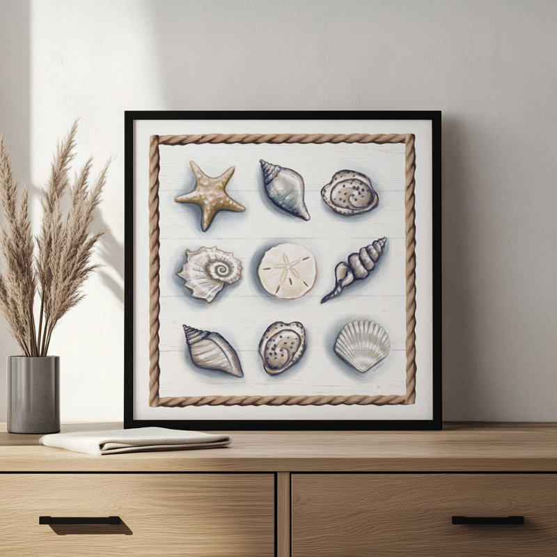 «Beach Shells II» par Elizabeth Tyndall, reproduction d'art, L 30 po x H 30 po, Impression encadrée, Blanc