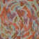 Colorific Fabric