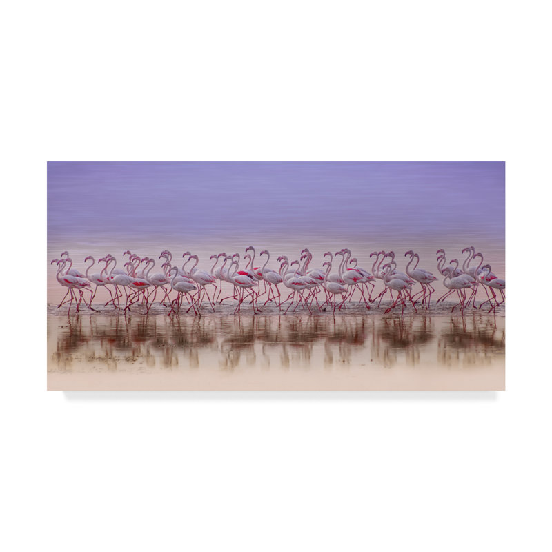 «Comrades in Color», reproduction de photo sur toile tendue, H 10 po x l 19 po x P 2 po