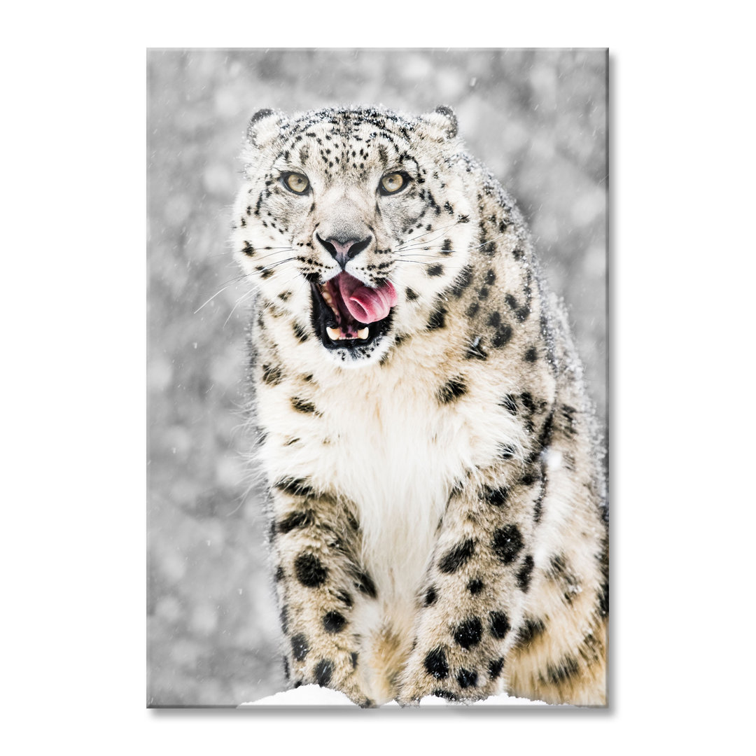 Glasbild Leopard im Schnee