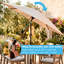 230cm Tilt Cantilever Parasol-126281538