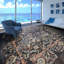 Oriental Area Rug