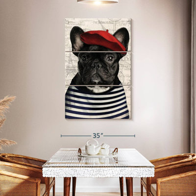 Brampt Adorable French Bulldog