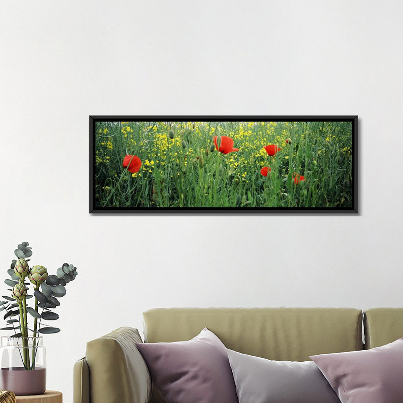 Reproduction de photo sur toile, H 12 po x l 36 po x P 1,5 po, Cadre noir